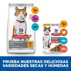 Hill's Young Adult Science Plan Sterilized Salmão Saquetas para gatos, , large image number null